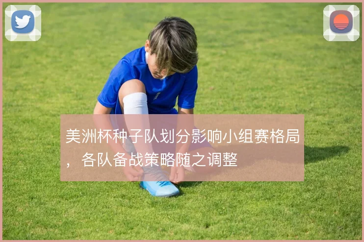 美洲杯种子队划分影响小组赛格局,各队备战策略随之调整